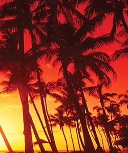 WYDRUKI WIELKOFORMATOWE - W klimatach Latino - Wydruki wielkoformatowe