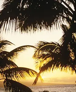 WYDRUKI WIELKOFORMATOWE - W klimatach Latino - Wydruki wielkoformatowe